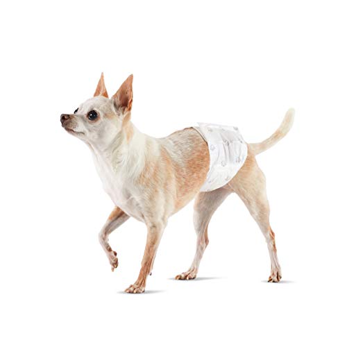 Amazon Basics - Pañales desechables para perros machos, paquete de 30 unidades