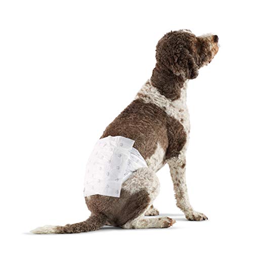 Amazon Basics - Pañales desechables para perros, tamaño grande, paquete de 30 unidades
