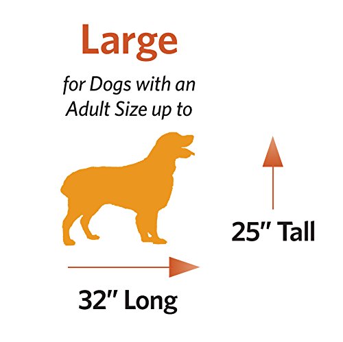 Caja grande para perros | MidWest Life Stages plegable de metal para perros, panel divisor, pies protectores de suelo, sartén para perros a prueba de fugas, 42 pulgadas de largo x 28 pulgadas de ancho x 31 pulgadas de alto, perro grande