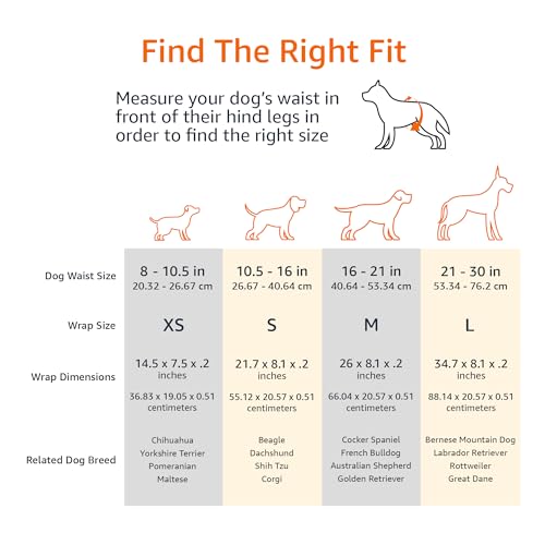 Amazon Basics - Pañales desechables para perros, tamaño grande, paquete de 30 unidades