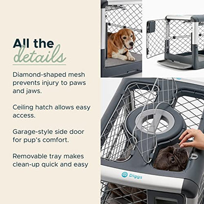 Diggs Revol - Jaula plegable para perros (jaula portátil para perros, caja de viaje para perros, perrera para perros) para perros medianos y cachorros