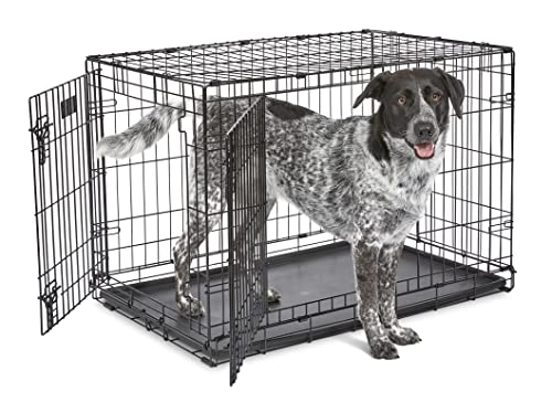 MidWest Homes for Pets - Jaula para perros | iCrate jaula de metal plegable para puerta individual y doble puerta | totalmente equipada, Puerta doble, Double Door, 36-Inch w/ Divider