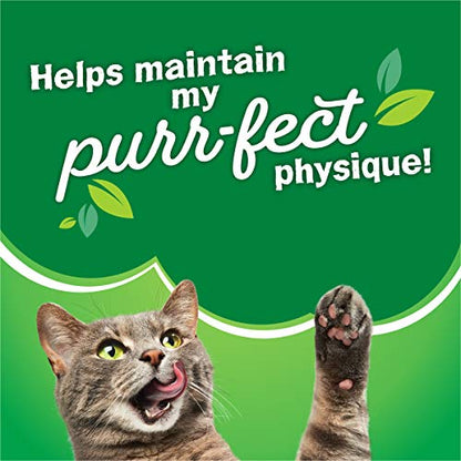 Purina Friskies Gravy Swirlers Adult Dry Cat Food