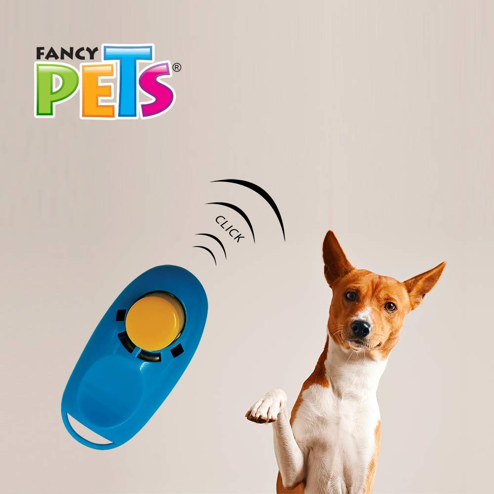 Fancy Pets Clicker con Pulsera de Entrenamiento para Perro