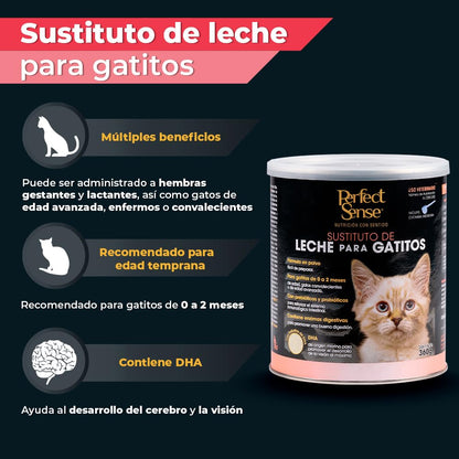 SUSTITUTO DE LECHE P/GATITOS PS 360 G