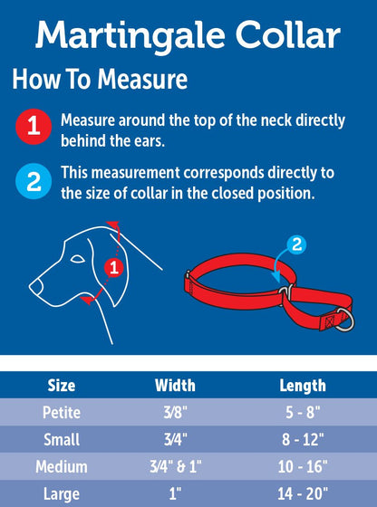 PetSafe Martingale Collar para perro, alternativa al collar de gargantilla, Rojo, LARGE (NYLON WIDTH 1")