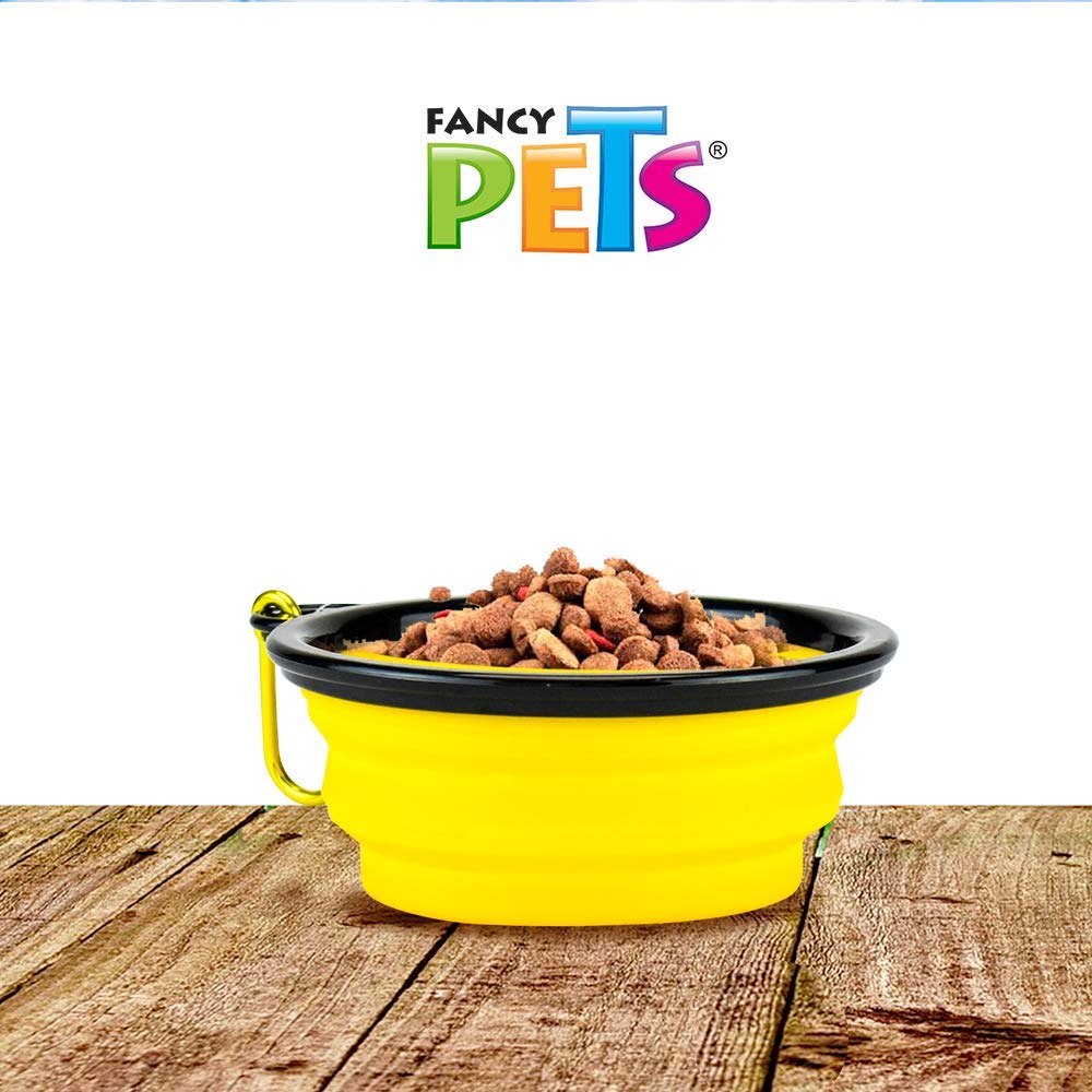 Fancy Pets Plato Plegable para Viaje Tamaño Chico para Perro y/o Gato, Varios Colores