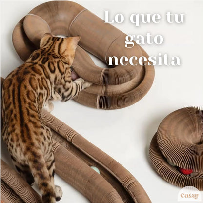 CATZY | 2pcs - Rascador para Gatos, Organo Mágico con Pelota para Gatos, Jugete para Gatos, Rascadores Interactivos- Incluye Catnip