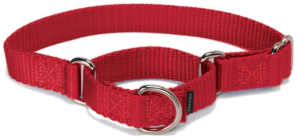 PetSafe Martingale Collar para perro, alternativa al collar de gargantilla, Rojo, LARGE (NYLON WIDTH 1")