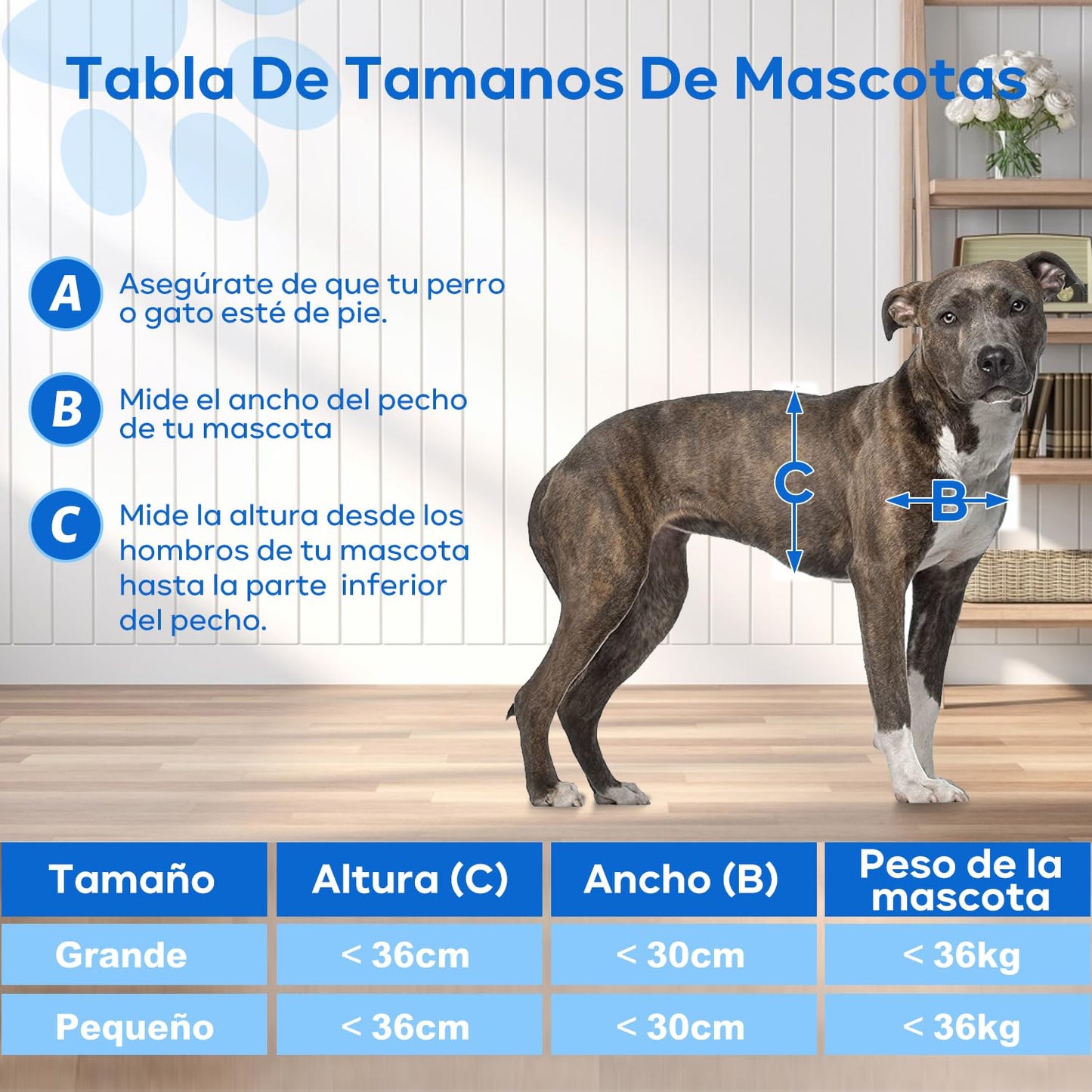 QILAY Puerta para Mascotas, Tamaño Interno 38 * 43 cm Puerta Corredera para Perros y Gatos Medianos y Grandes con Puerta de Cierre Automático Magnético