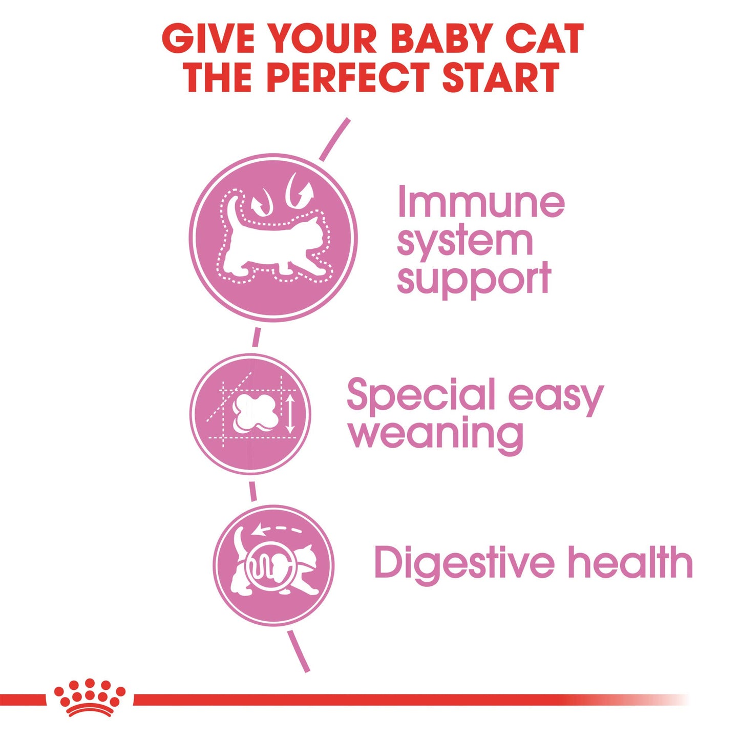 Royal Canin Alimento Seco para Gatos Feline Health Nutrition Mother & Babycat, 1.37 Kg