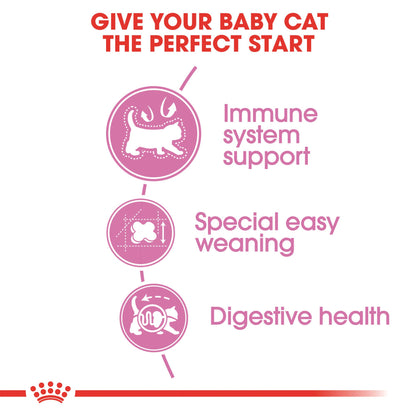 Royal Canin Alimento Seco para Gatos Feline Health Nutrition Mother & Babycat, 1.37 Kg