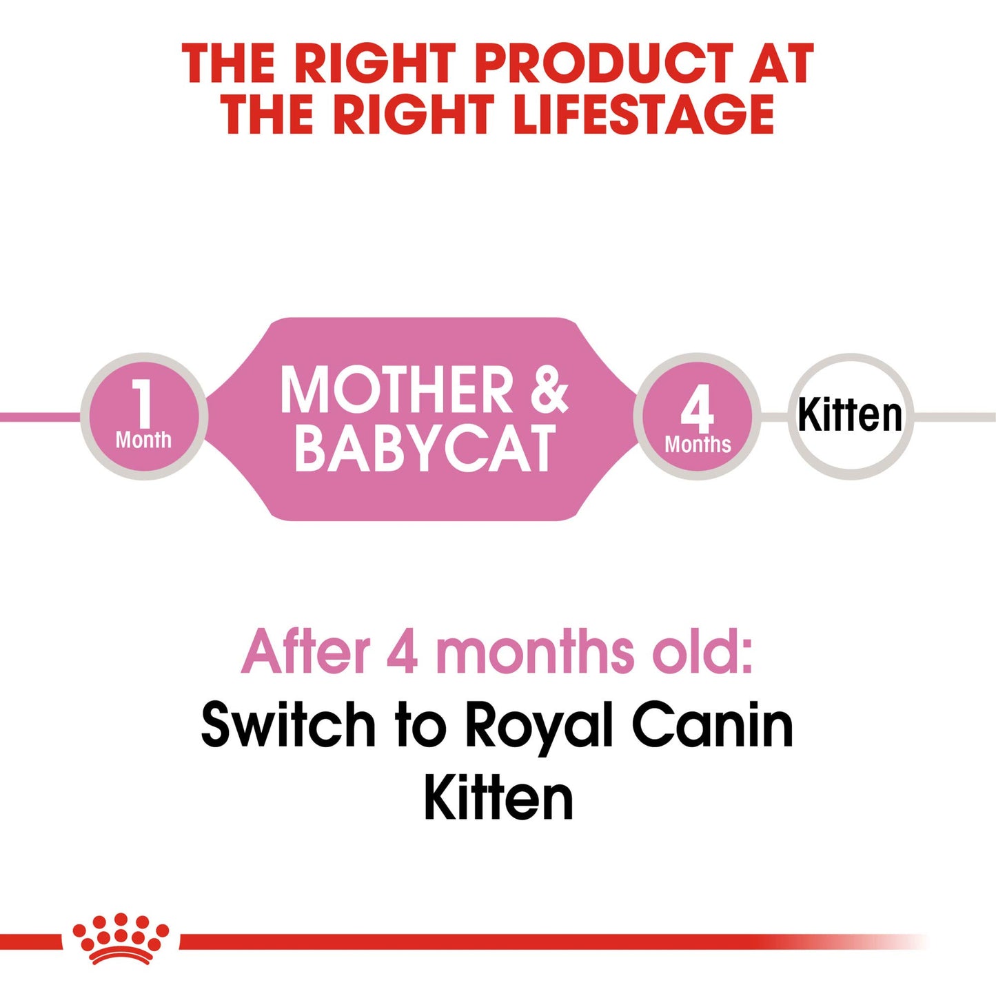 Royal Canin Alimento Seco para Gatos Feline Health Nutrition Mother & Babycat, 1.37 Kg