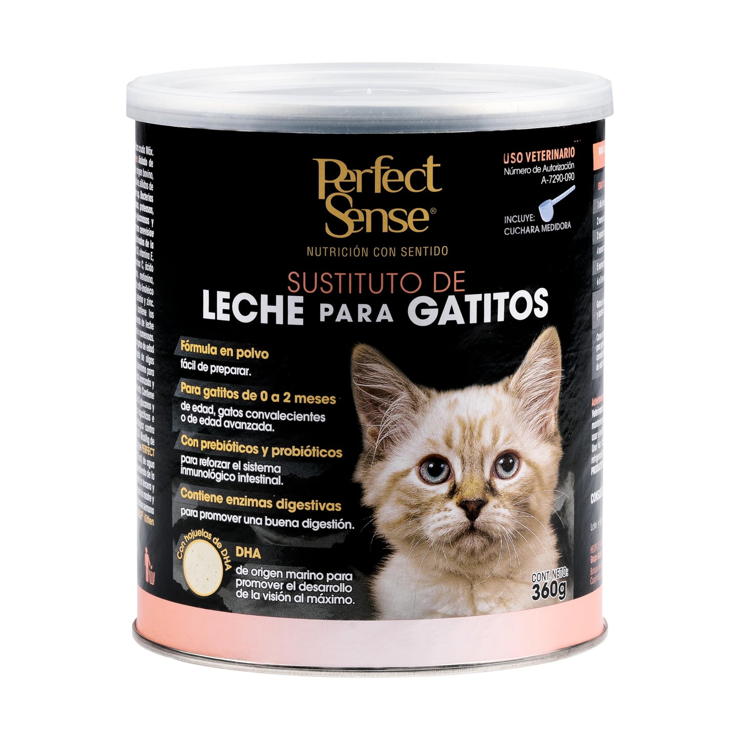 SUSTITUTO DE LECHE P/GATITOS PS 360 G