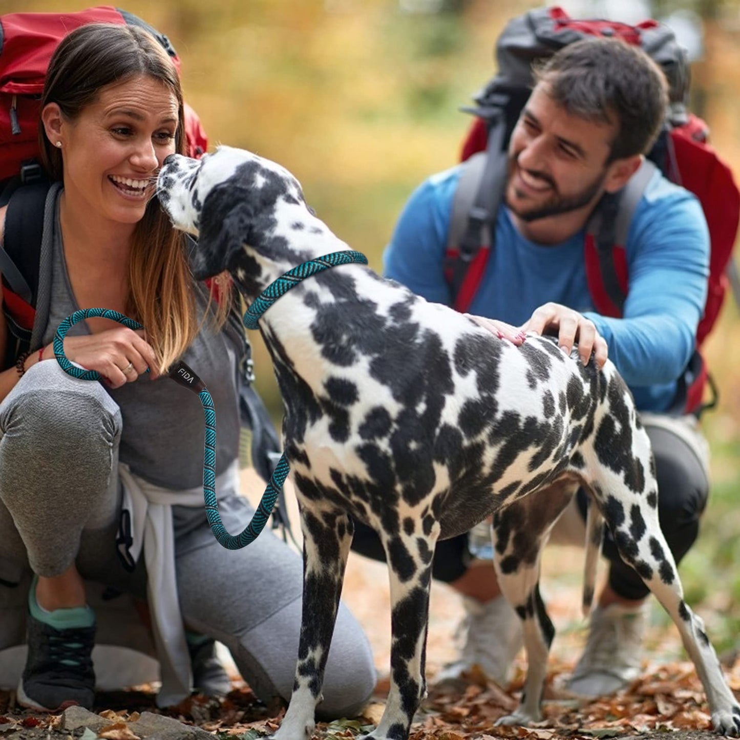 Fida Correa antideslizante duradera para perro, 6 pies x 1/2 pulgadas, correa de bucle resistente para perro, cómoda correa de cuerda fuerte para perros grandes y medianos, correa de entrenamiento para mascotas sin tirones con altamente reflectante, azul