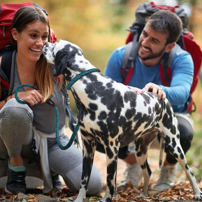 Fida Correa antideslizante duradera para perro, 6 pies x 1/2 pulgadas, correa de bucle resistente para perro, cómoda correa de cuerda fuerte para perros grandes y medianos, correa de entrenamiento para mascotas sin tirones con altamente reflectante, azul