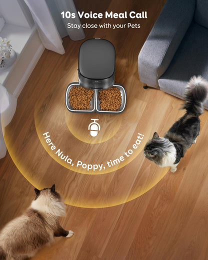 Garfeur - Dispensador automático de alimentos para gatos de 5 litros para 2 gatos, alimentador automático para gatos, 48 porciones 6 comidas por día, función de memoria, llamada de comida de 10