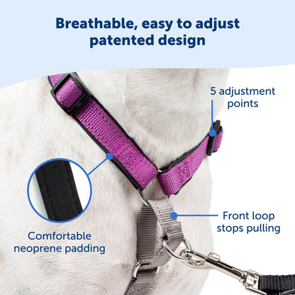 PetSafe Arnés para perro 3 en 1, solución sin tirones para perros, arnés reflectante para perro, clip frontal de anillo en D que ayuda a dejar de tirar, cómodas correas acolchadas, mango superior que mejora el control, ciruela, mediano