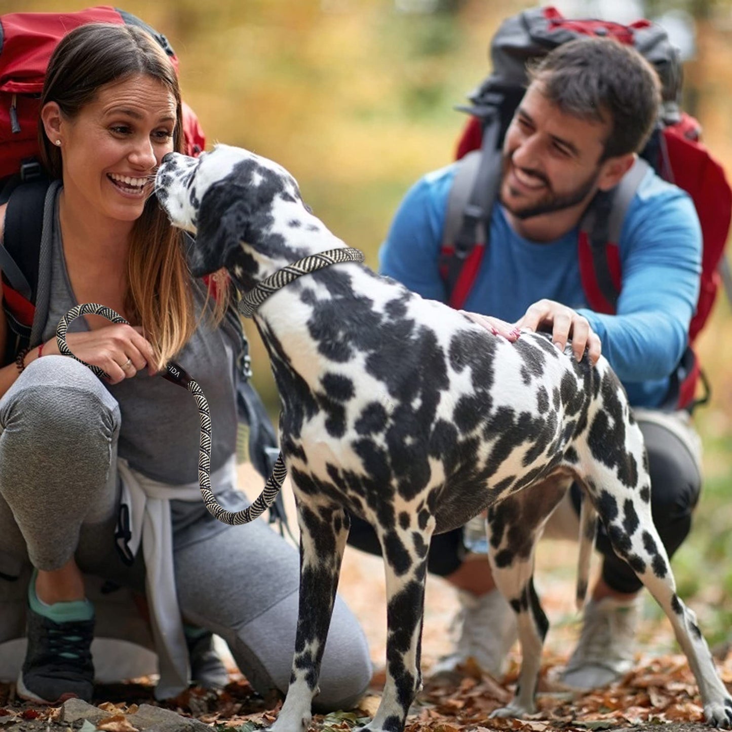 Fida Correa antideslizante duradera para perro, 6 pies x 1/2 pulgadas, correa de bucle resistente para perro, cómoda correa de cuerda fuerte para perros grandes y medianos, correa de entrenamiento para mascotas sin tirones con altamente reflectante, gris