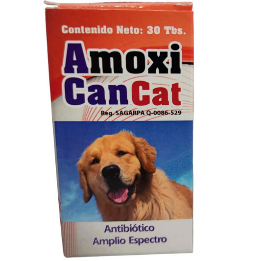 AMOXI CAN CAT