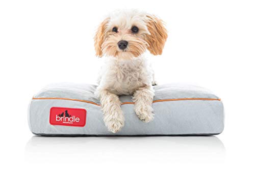 BRINDLE Soft Memory Foam Dog Bed with Removable Washable Cover - 17in x 11in - Stone