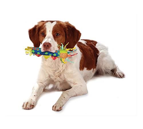 Juguete para perros Etapas para mascotas Palo de dentición fresco