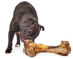 EcoKind Hueso de fémur gigante para perros | 1 hueso | Huesos de perro mamut de larga duración para masticadores agresivos, tratamiento saludable para perros, huesos grandes, masticables digestibles y certificado USDA/