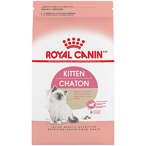 ROYAL CANIN FELINE HEALTH NUTRITION Alimento seco para gatos para gatitos, 3.5 libras (El empaque puede variar)