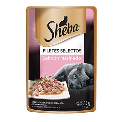 Sheba Alimento Húmedo para Gatos Adultos, Sabor Filetes De Salmón Marinado 85g c/u. Paquete de 24 Unidades