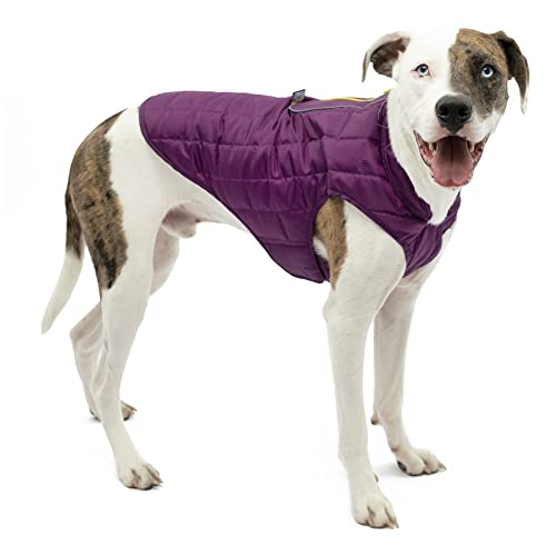 Kurgo Loft Dog Jacket and Reversible Dog Coat, Deep Violet Purple / Light Charcoal Gray, Large