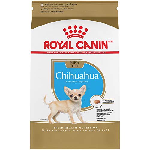 Royal Canin Croquetas para Chihuahua Puppy, 1.13 kg (El empaque puede variar)