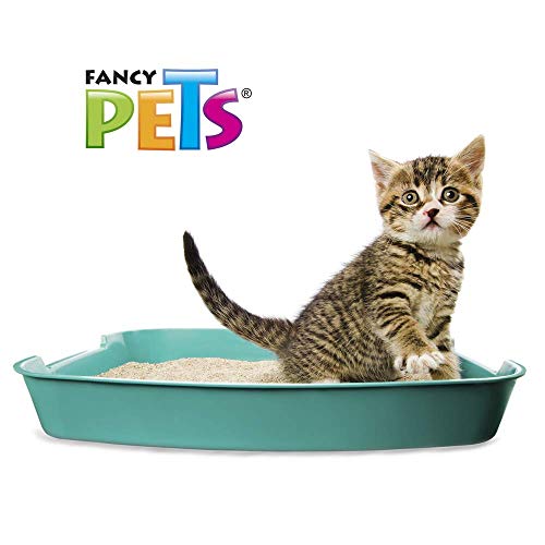 Fancy Pets Arena Aglutinante para Gato con 12.5 Kilogramos