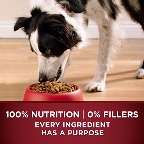 Purina ONE SmartBlend Dry Dog Food, True Instinct with Real Turkey and Venison Formula, 27.5-Pound Bag, Pack of 1