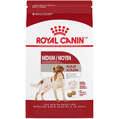 Royal Canin Croquetas Para Razas Medianas, Medium Adult 25, 13.6 Kg (El Empaque Puede Variar)