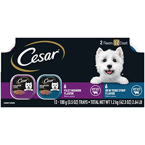 CESAR GOURMET FILETS Variety Pack Filet Mignon & New York Strip Flavor Dog Food (Two 12-Count Cases)