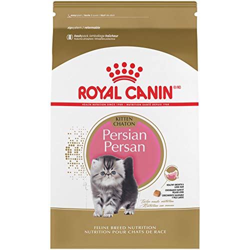 Royal Canin Alimento seco para gatos adultos para gatitos persas de raza felina, 3 libras
