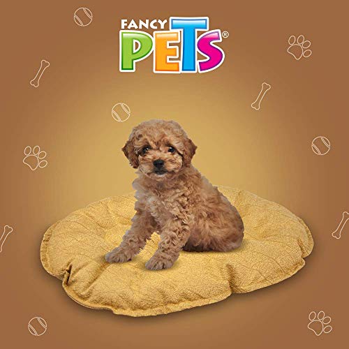 Fancy Pets Cojin/Cama para Cama de Plástico para Perro Tamaño Chico Varios Colores