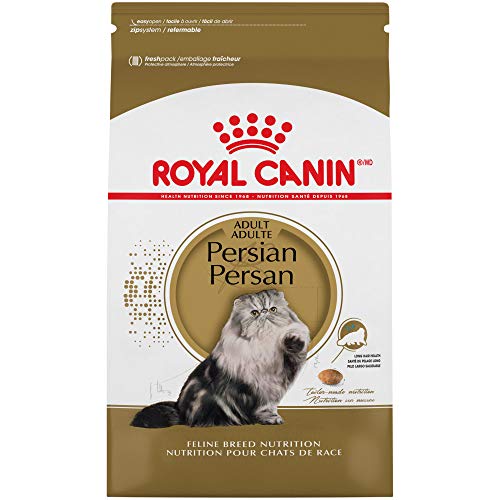 Royal Canin Croquetas para Gatos, Persa, 3,17 kg (El empaque puede variar)