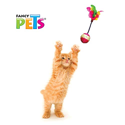 Fancy Pets Juguetes para Gato Pack con 48 Piezas