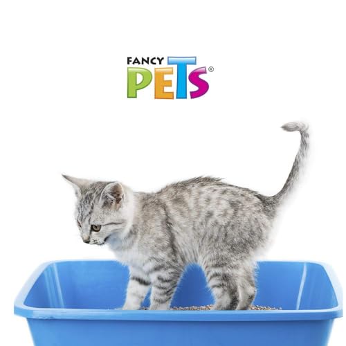 Fancy Pets Arena para Gato en Bolsa de 3 Kilogramos