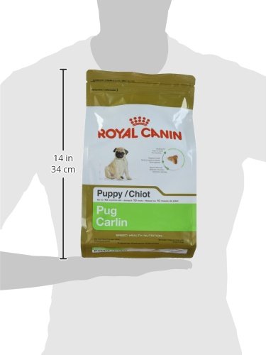 Royal Canin Comida para Perros Pug Puppy (El empaque puede variar)