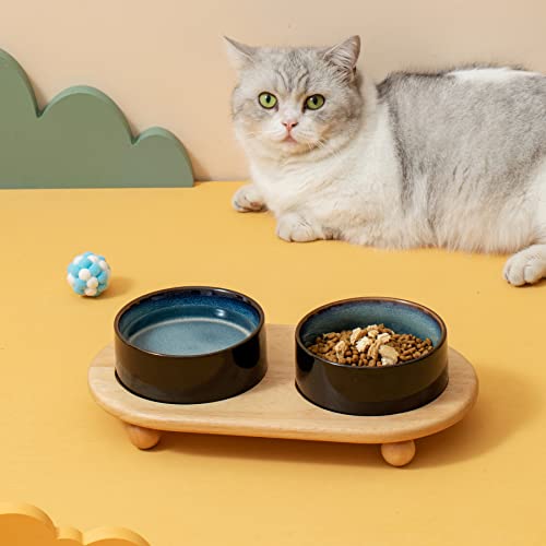 Havniva Cuenco elevado de cerámica para comida y agua para gatos, cuenco para gatitos, plato elevado para gatos, comedero para gatos (2 x cielo estrellado + soporte)