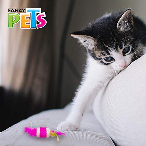 Fancy Pets Juguete en Forma de Cilindro con Plumas para Gato Tamaño de 5 Centímetros