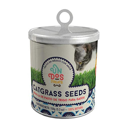 Uno Dos Treats, CatGrass Seeds Pasto De Trigo Para Gatos