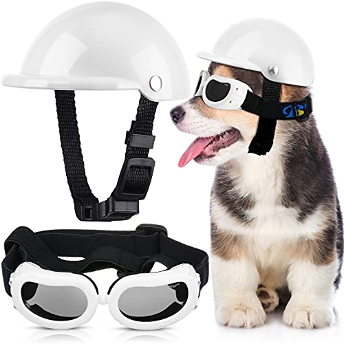 Gafas de sol para perro pequeño, protección UV, gafas de sol para perro, gafas de seguridad para motocicleta, sombrero de seguridad duro con cinturón ajustable, resistente al viento, a prueba de nieve, protección para la cabeza de los ojos, para montar a