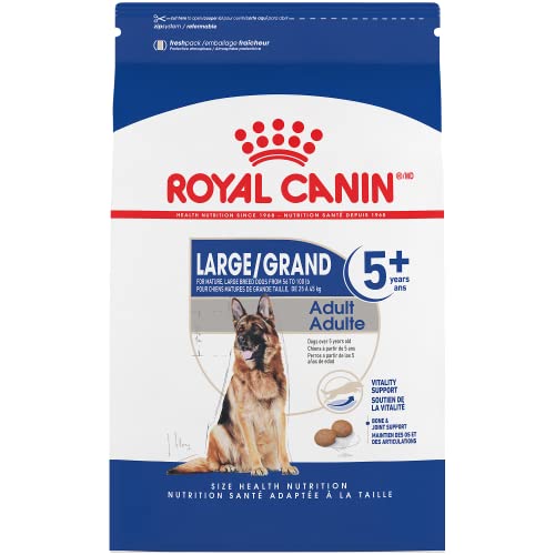 Royal Canin Comida para Perros Grande, Adulto 5+ 13,61 kg