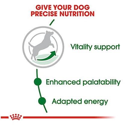 Royal Canin Croquetas para Perros Pequeños, Mini Mature +8, 1.1 kg (El empaque puede variar)