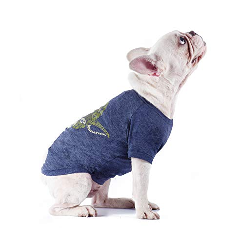 Star Wars Camiseta para Perros Yoda Wisdom para Perros | Camiseta para Perros Grandes | Talla XXL | Ropa y Ropa para Perros Suaves, Lindos y cómodos