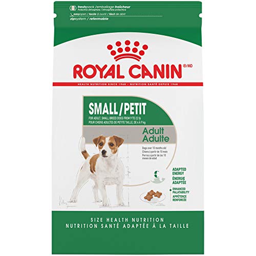 Royal Canin Croquetas para Razas Pequeñas, Mini Adult, 6.35 kg (El empaque puede variar)