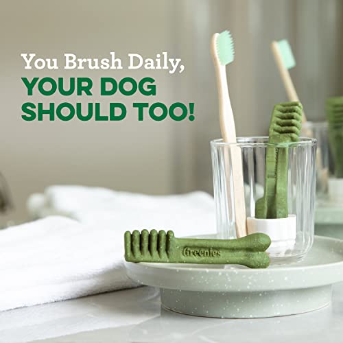 Greenies Petite Natural Dog Dental Care Chews Oral Health Dog Golosinas Sabor arándano, Paquete de 12 onzas (20 golosinas)